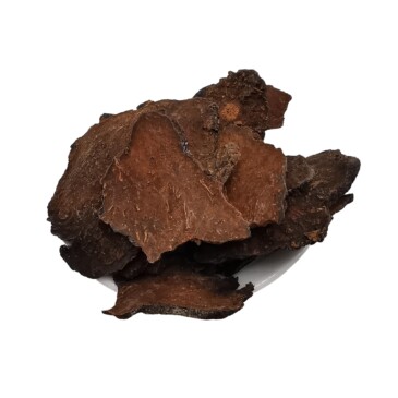 Fo-Ti Root