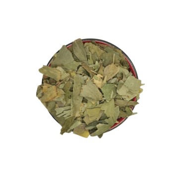 Ginkgo Leaves