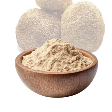 Lion's Mane Mushroom Powder