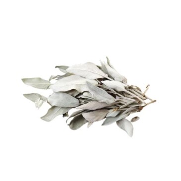 White Sage Leaf